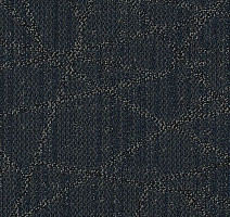 Ковровая плитка Tessera Nexus 3505 Refresh фото 1 | FLOORDEALER